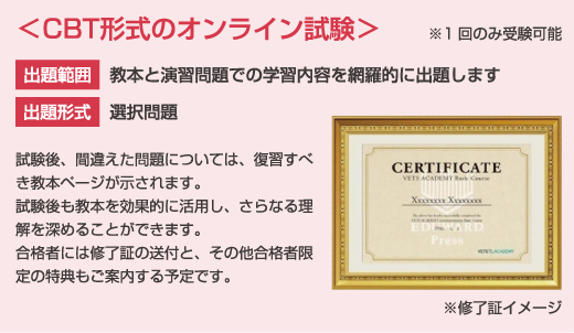 CBT形式のオンライン試験