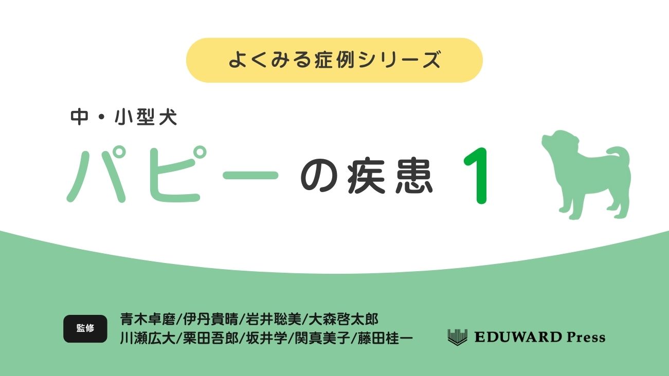 素晴らしい外見 中・小 よくみる症例シリーズ - Pass EDUONE その他