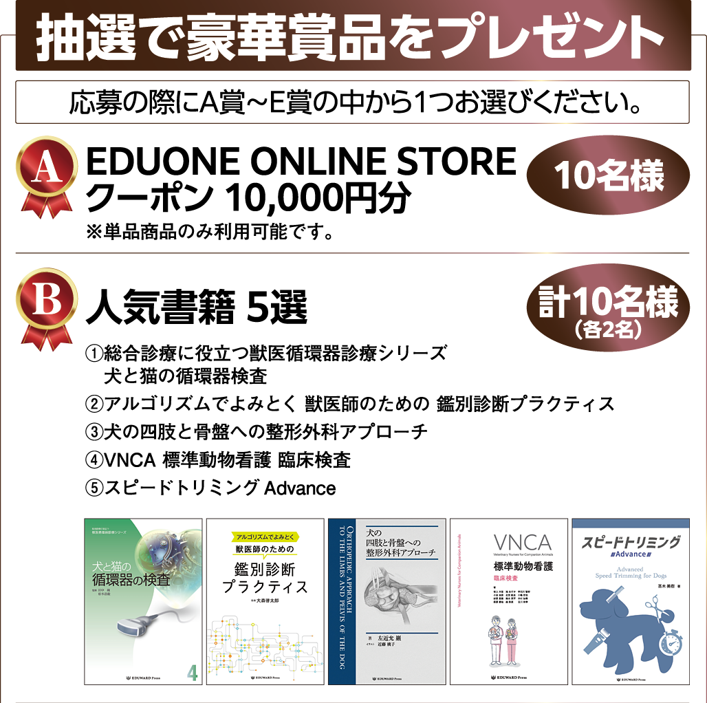 抽選で豪華賞品をプレゼント