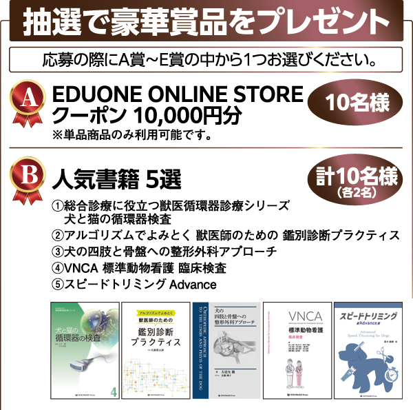 抽選で豪華賞品をプレゼント
