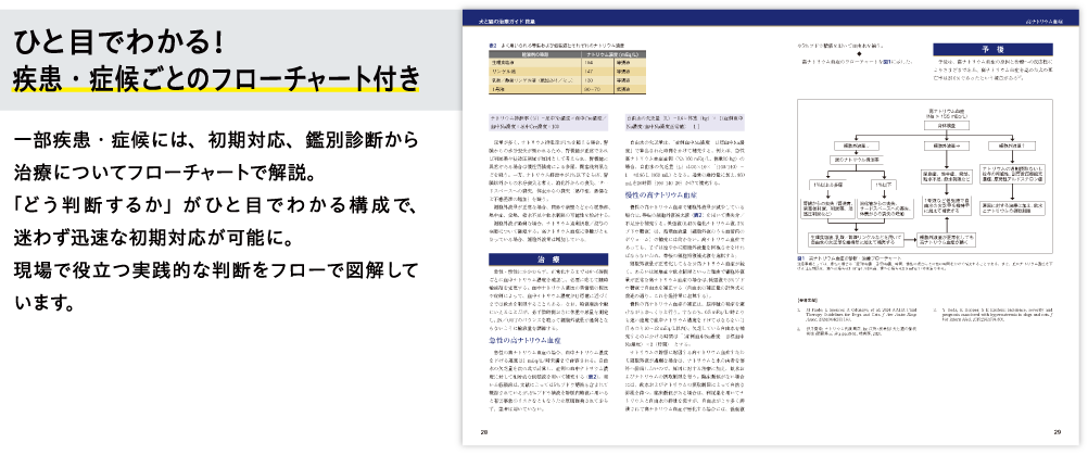 ひと目でわかる！疾患。症候ごとのフローチャート付き