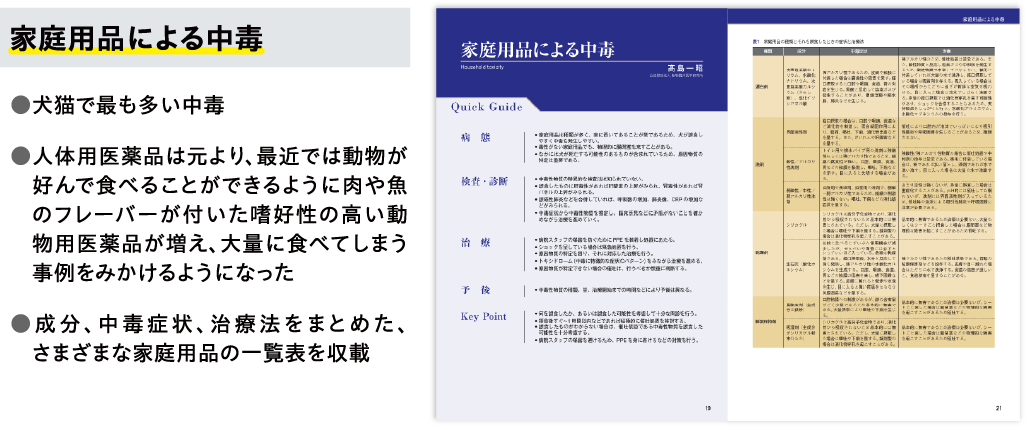 必見！ABCD評価とポイントオブケア超音波検査のアプローチ