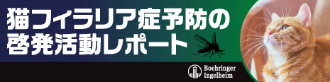 猫フィラリア症予防の啓発活動レポート ベーリンガーインゲルハイム アニマルジャパン株式会社