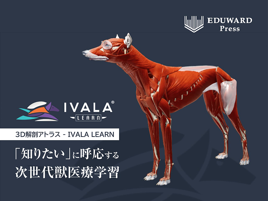 3D解剖アトラス IVALA LEARN