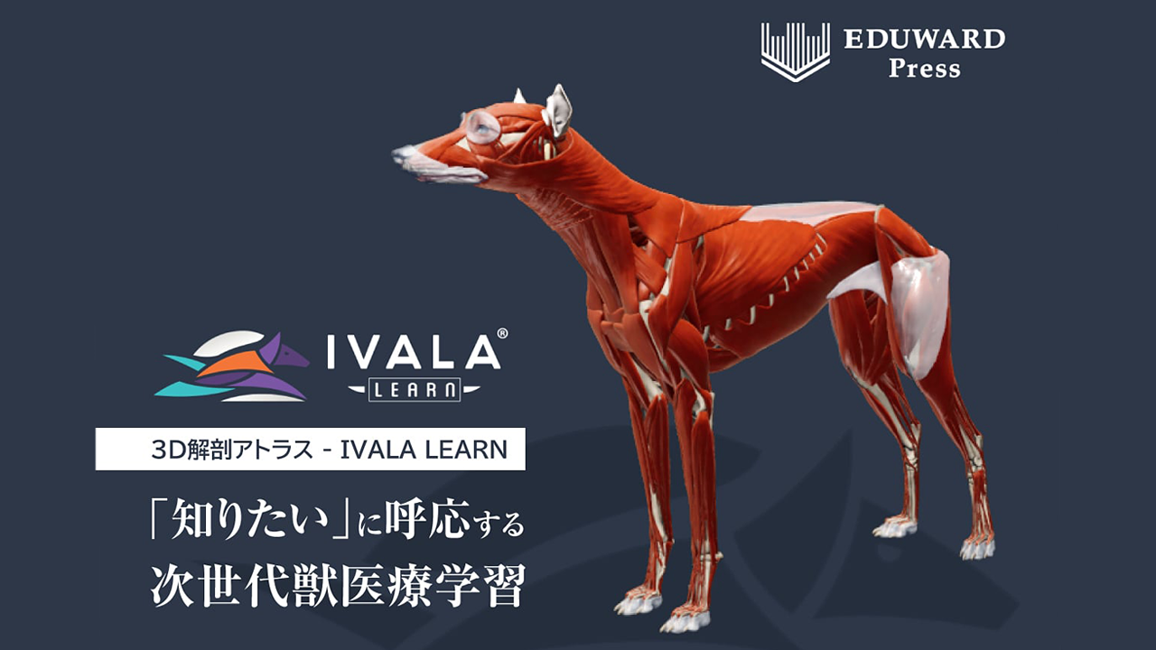 3D解剖アトラス IVALA LEARN