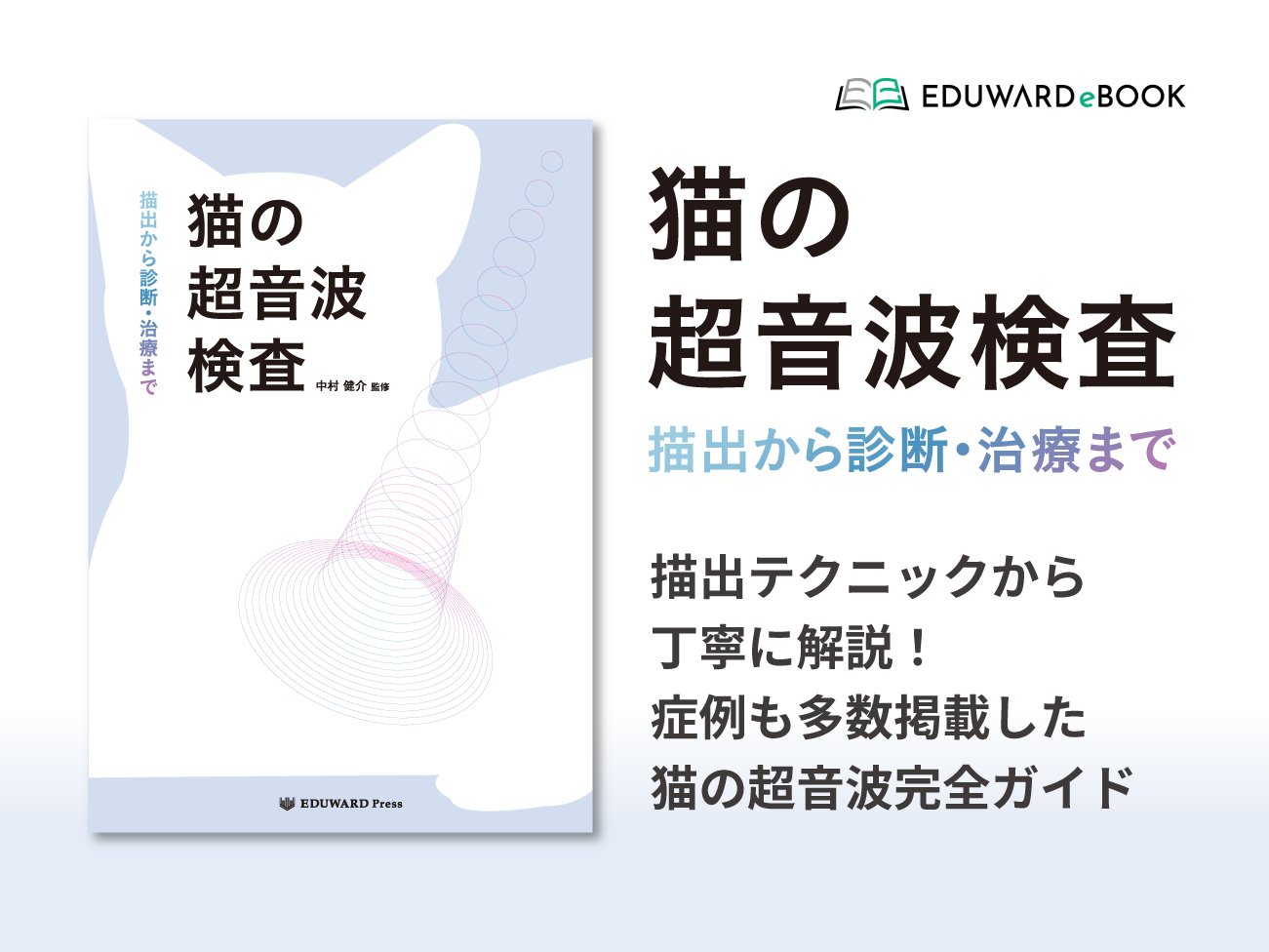 【裁断済】猫の超音波検査 描出から診断まで Amazon.co.jp: 猫の超音波検査 描出から診断・治療まで : 中村