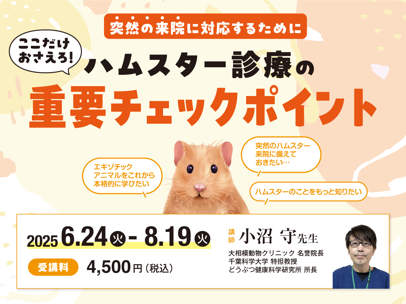 エキゾチックアニマルの薬用量マニュアル （獣医師対象 オン