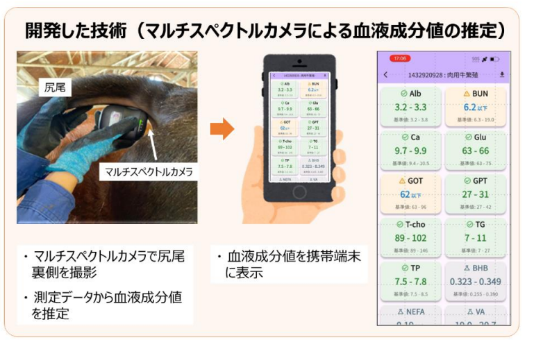 採血せずに牛の血液検査を実 - EDUONE Pass
